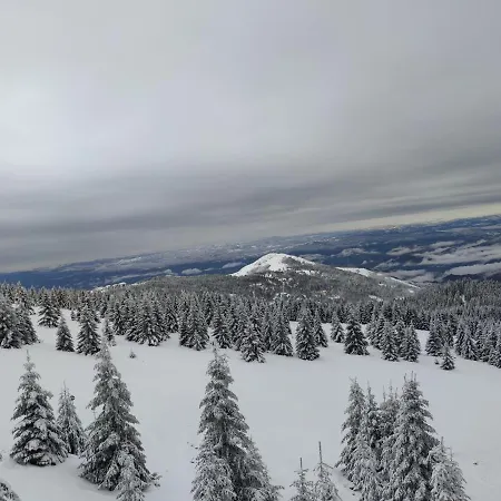 Irina - 11 Lux Appartamento *