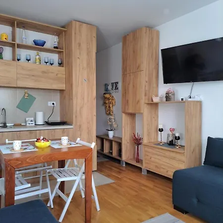 Irina - 11 Lux Appartamento Kopaonik